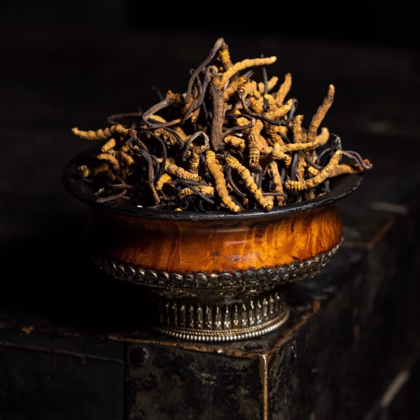 Raw Cordyceps - Image 5